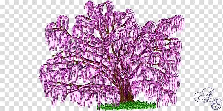 Embroidery Tree Stitch Winter Weeping willow, dwarf weeping willow tree transparent background PNG clipart