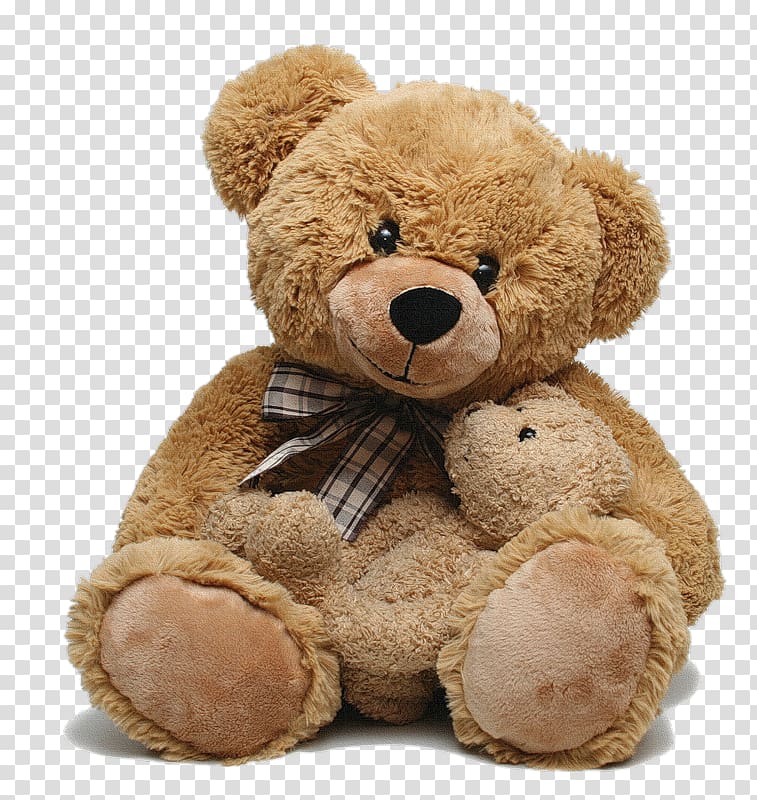 Teddy bear transparent background PNG clipart