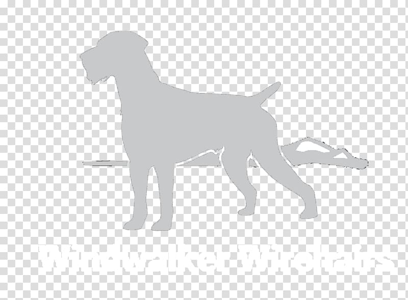 Dog breed Puppy Sporting Group, puppy transparent background PNG clipart