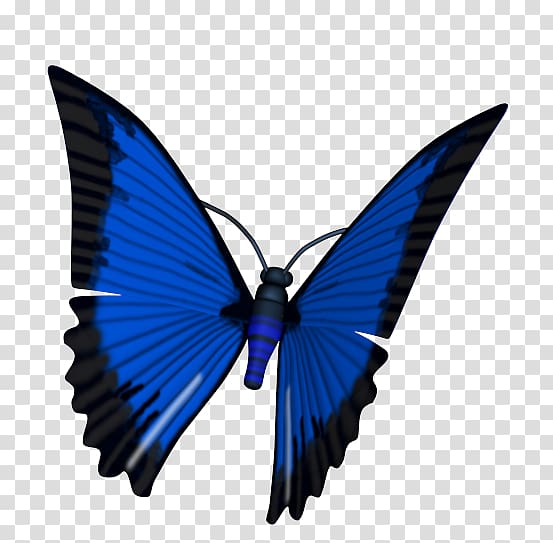 Butterfly Brush-footed butterflies Animated film 3D computer graphics Computer Animation, butterfly transparent background PNG clipart