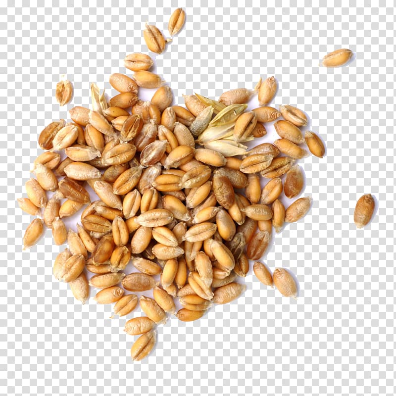 Cereal Market analysis Food Grain, Germinated wheat will buckle creative HD Free transparent background PNG clipart