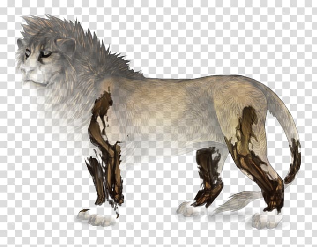 Lion Wildebeest Mane Big cat Animal, lion transparent background PNG clipart