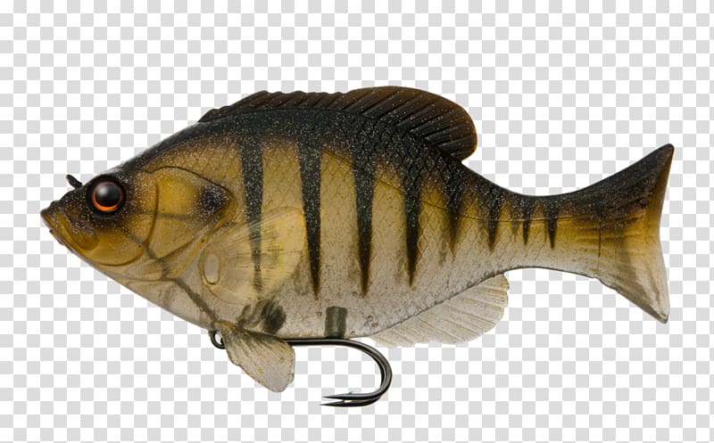 Fishing Baits & Lures Bluegill Angling Micropterus, Fishing transparent background PNG clipart