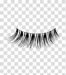 unpaired false eyelash, False Eyelash transparent background PNG clipart