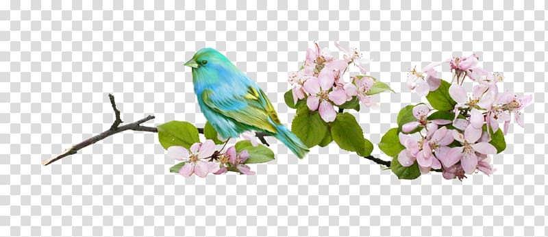 Bird Flower Branch, Birds in the branches of transparent background PNG clipart