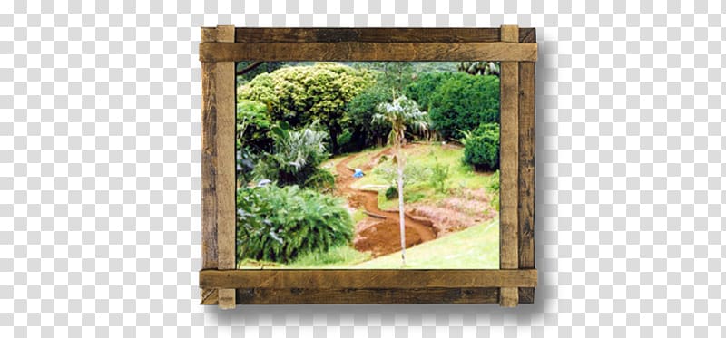 Colchester Gardening Wood Frames /m/083vt, botanical leaves transparent background PNG clipart