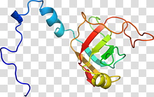 Line Point Organism , line transparent background PNG clipart thumbnail