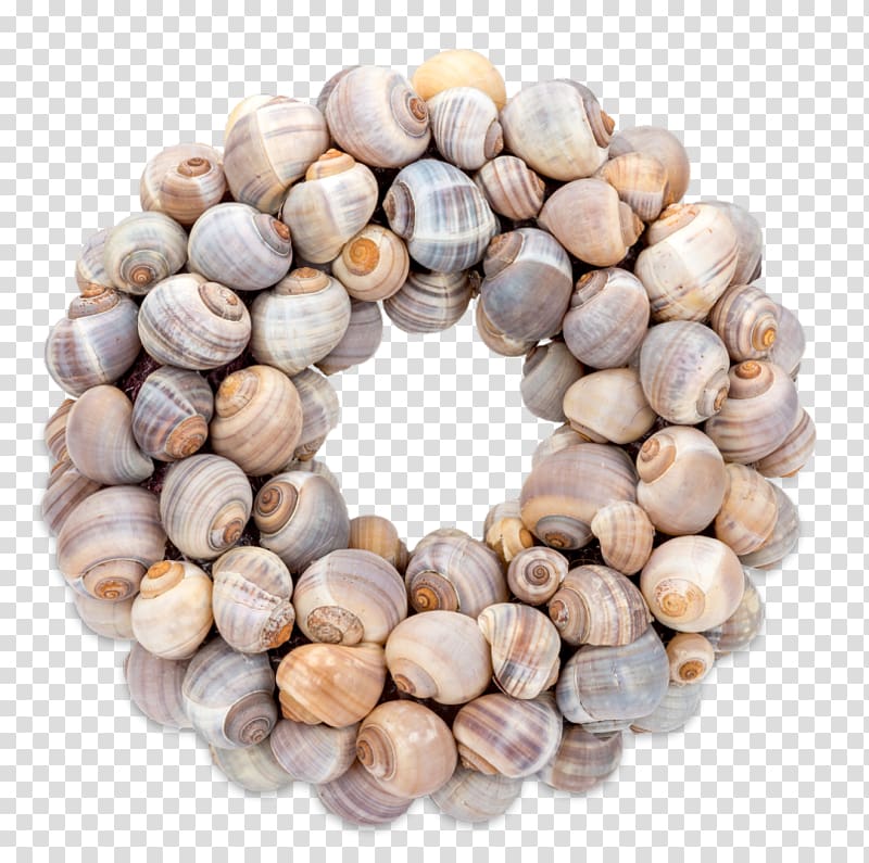 Table Wreath Bivalvia Bead Caribbean, table transparent background PNG clipart