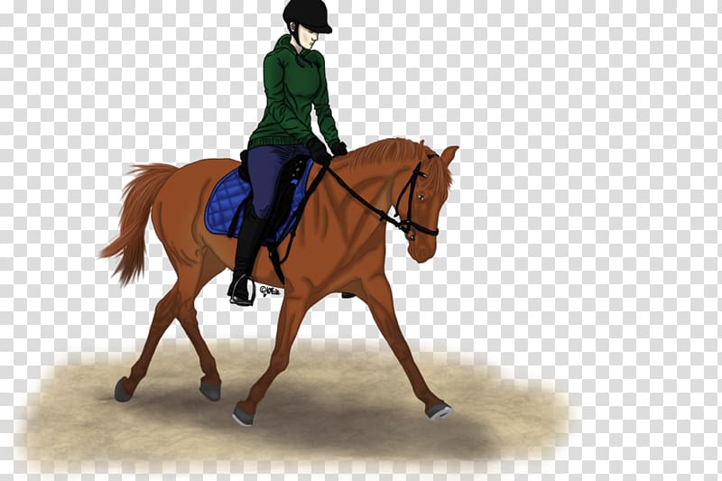 Stallion Hunt seat Bridle Mustang Mare, mustang transparent background PNG clipart