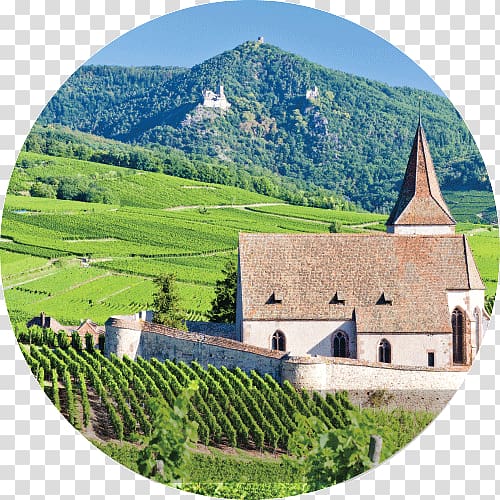 Vosges Alsace wine Lorraine Colmar, wine transparent background PNG clipart
