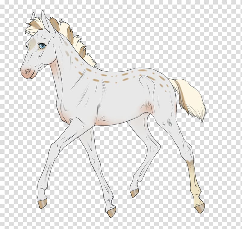 Mule Foal Stallion Mare Bridle, Equine Coat Color transparent background PNG clipart