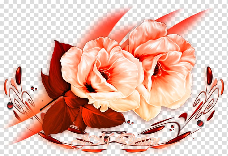 Floral design Cut flowers Yandex Search Flower bouquet, Marjan Jonkman transparent background PNG clipart