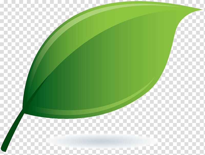green leaf illustration, Desktop Daun , leaf transparent background PNG clipart