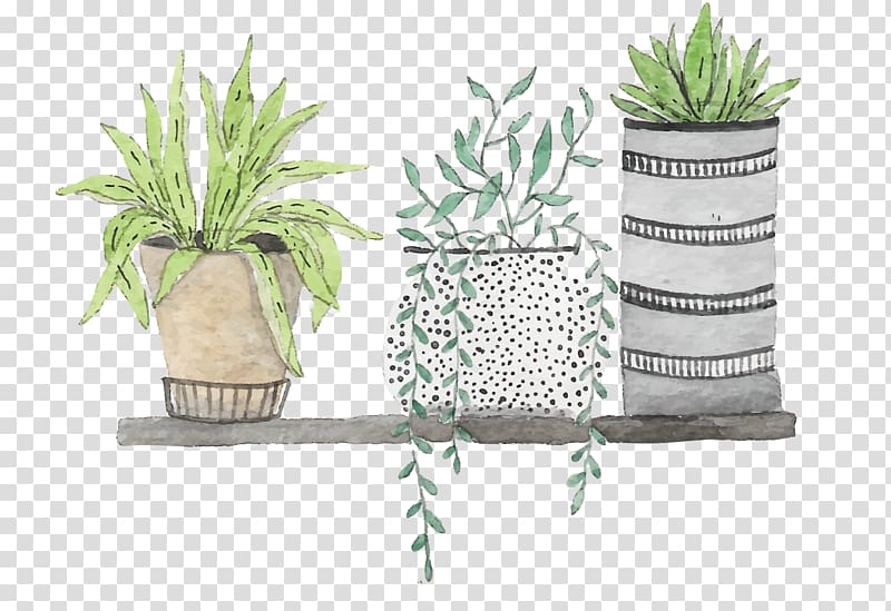 plants in pot painting, Watercolor painting Drawing Illustration, Hand painted green plants transparent background PNG clipart