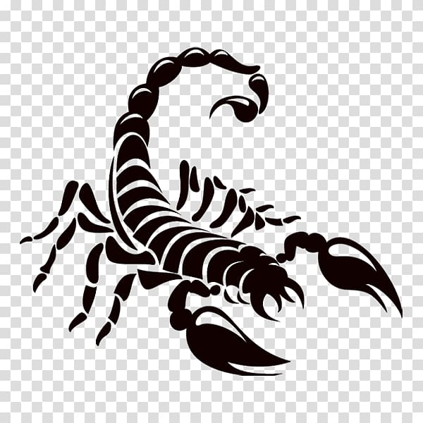 Scorpion Logo Drawing, scorpions transparent background PNG clipart