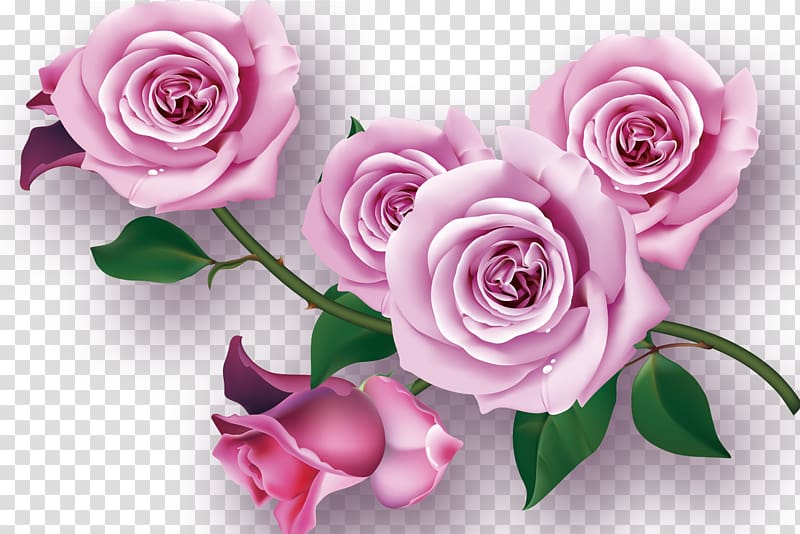 Garden roses Flower Purple Floral design, Purple flowers transparent background PNG clipart
