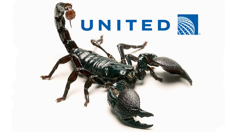 Scorpion United Express Flight 3411 incident Airplane United Airlines, scorpions transparent background PNG clipart