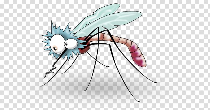 Mosquito Household Insect Repellents Gnat, cartoon animals transparent background PNG clipart