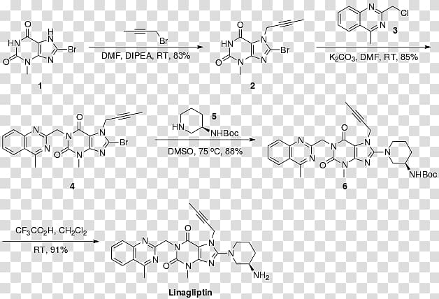 Linagliptin Dipeptidyl peptidase-4 inhibitor Chemical synthesis Metformin, others transparent background PNG clipart