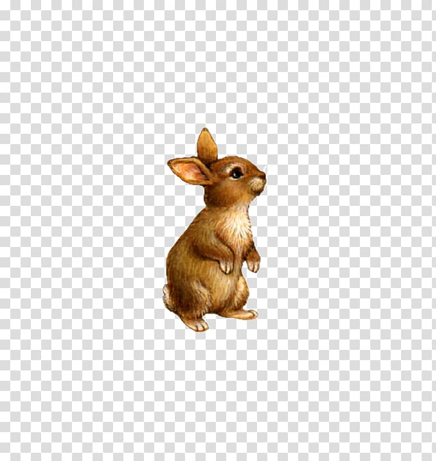 brown rabbit illustration, Domestic rabbit , Cute little stuffed bunny transparent background PNG clipart