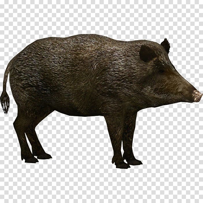 Wild boar Pixel Icon, Boar transparent background PNG clipart