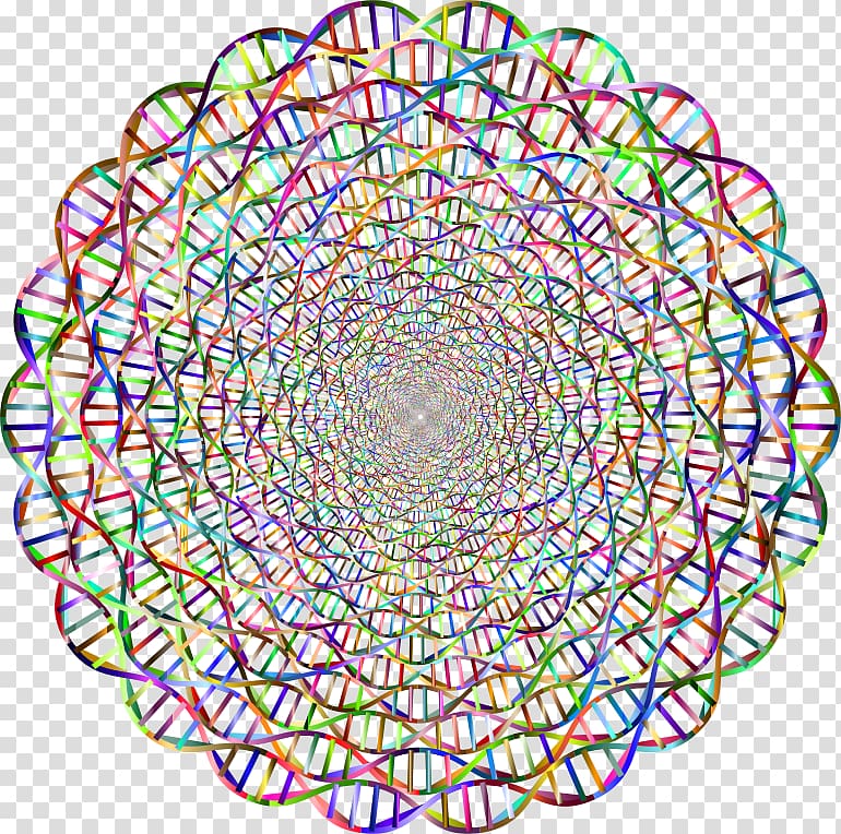 The Double Helix: A Personal Account of the Discovery of the Structure of DNA Nucleic acid double helix Circle, circle transparent background PNG clipart