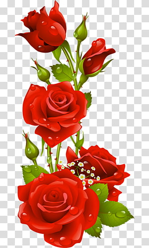 valentine's day transparent background PNG clipart thumbnail