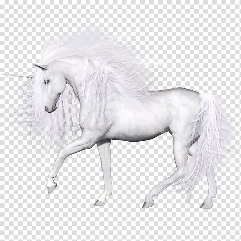 Horse Unicorn, unicorn transparent background PNG clipart