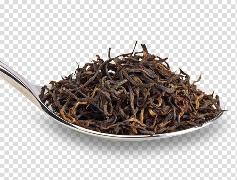 Lapsang souchong Nilgiri tea White tea Earl Grey tea, tea transparent background PNG clipart