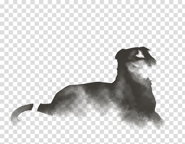 Italian Greyhound Scottish Deerhound Puppy, puppy transparent background PNG clipart