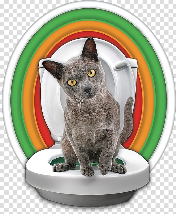 Cat Litter Trays Kitten Toilet training, Cat Training transparent background PNG clipart