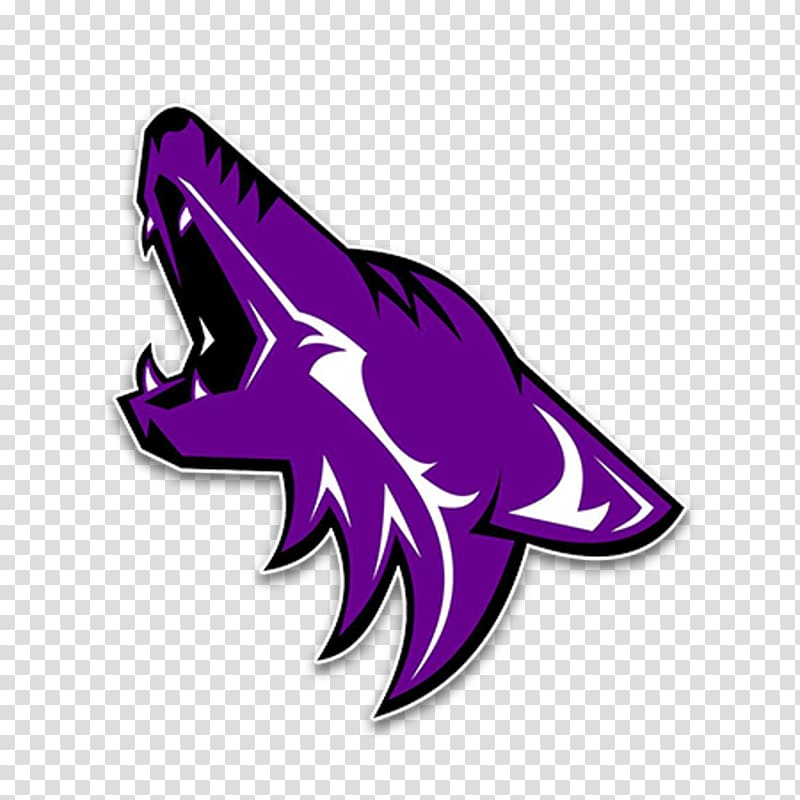 Anna High School Arizona Coyotes South Dakota Coyotes football American football, clean transparent background PNG clipart