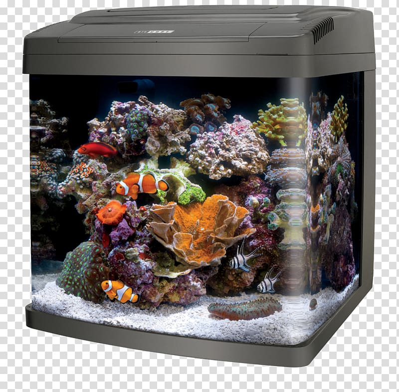 Coralife LED BioCube Coralife LED Bio Cube 32 Aquariums Reef aquarium, others transparent background PNG clipart