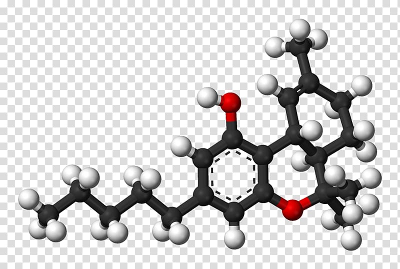 Lipoic acid alpha-Linolenic acid Antioxidant, L transparent background PNG clipart