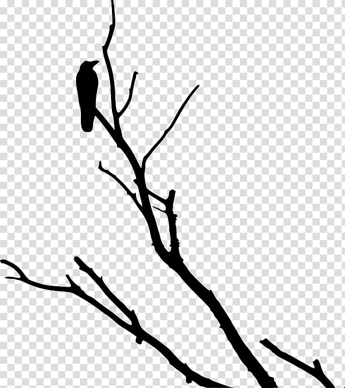 American crow Rook Bird Tree, love tree transparent background PNG clipart