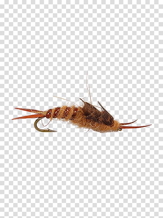 Insect Dry fly fishing Stoneflies, golden stone transparent background PNG clipart