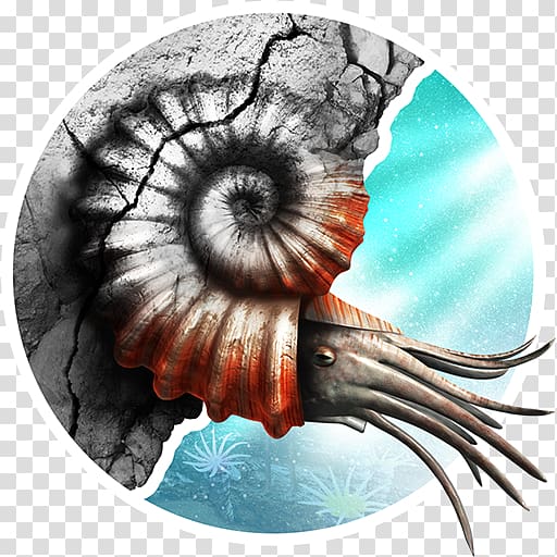 Invertebrate Nautiluses Eye, Eye transparent background PNG clipart