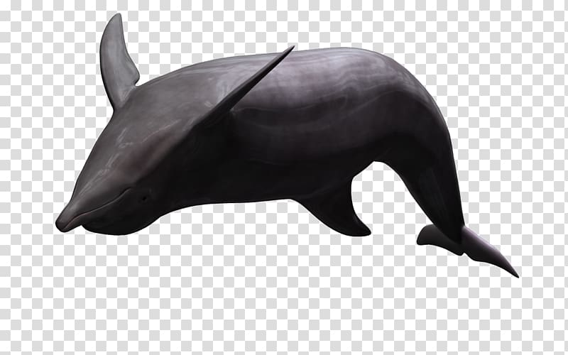 Dolphin Animal Animation, 3d cartoon animals benthic fauna transparent background PNG clipart