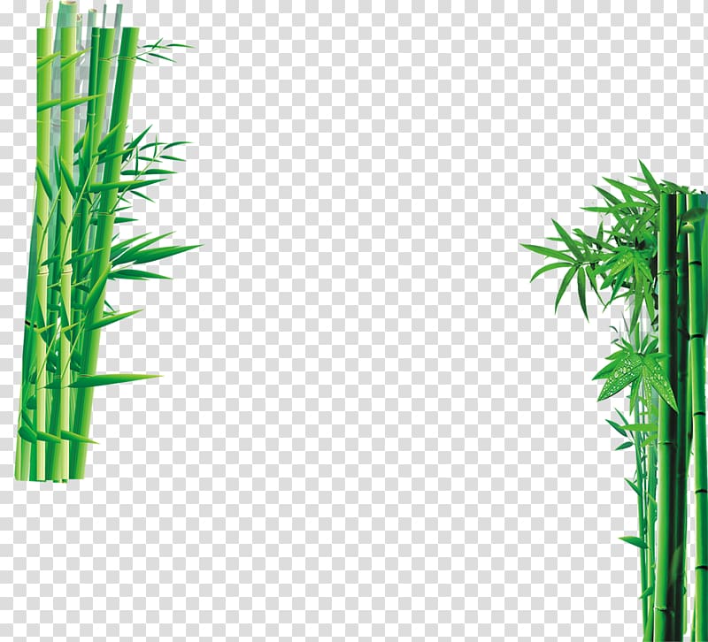Sweet bamboo Green, Green bamboo bamboo transparent background PNG clipart