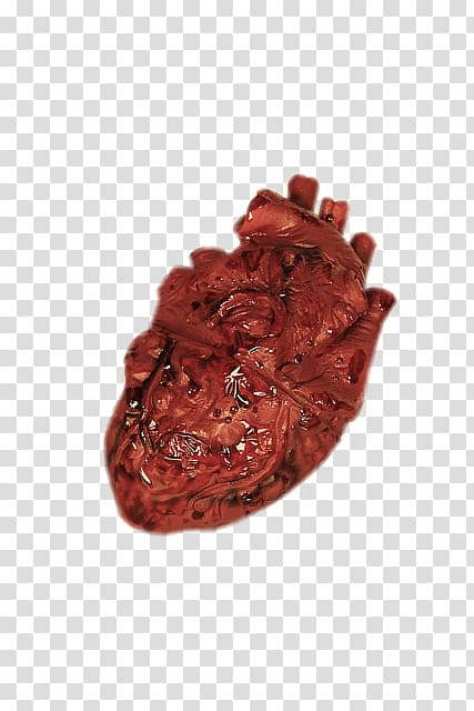 Human heart, real Human transparent background PNG clipart