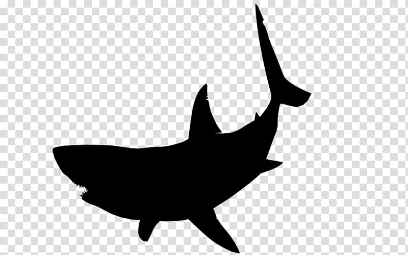 Great white shark Silhouette , BABY SHARK transparent background PNG clipart