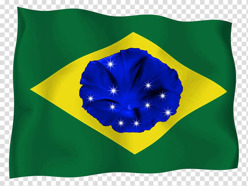 Flag of Brazil Estilización 03120, Flag transparent background PNG clipart