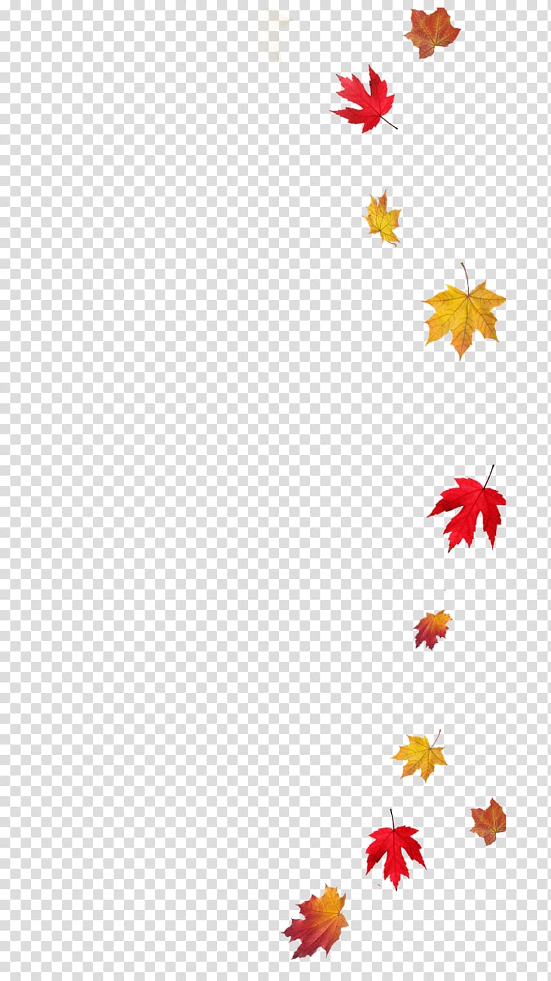 American Girl Doll Clothing Maple leaf Button, falling leaves transparent background PNG clipart