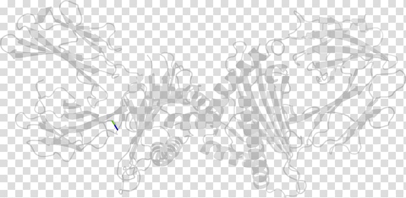 Drawing Line art Sketch, Beta2 Microglobulin transparent background PNG clipart