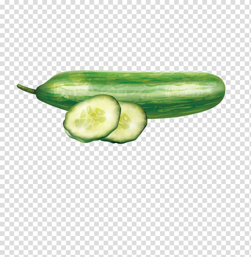 Slicing cucumber Vegetable Computer file, Cucumber and cucumber slices material transparent background PNG clipart