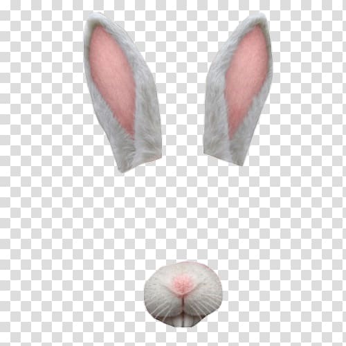 Ear Rabbit, ear transparent background PNG clipart