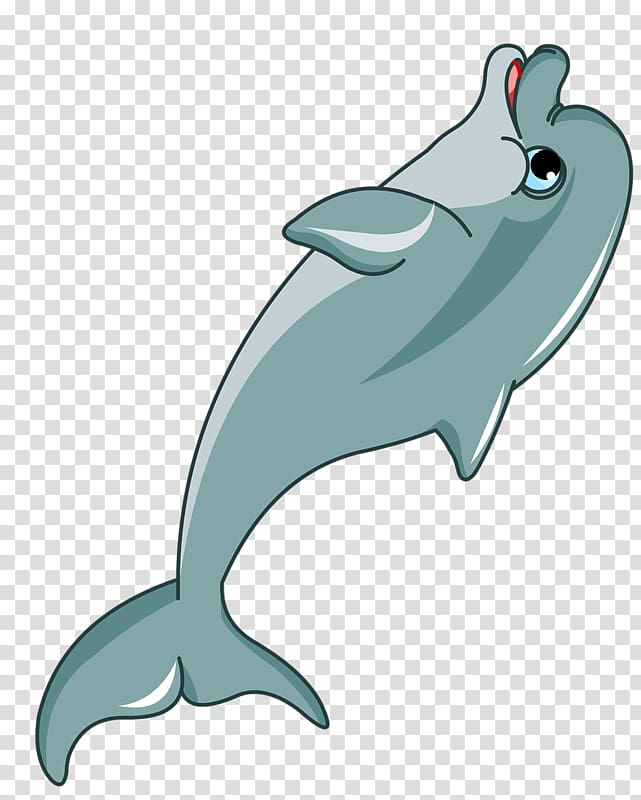 Dolphin Cartoon , dolphin transparent background PNG clipart
