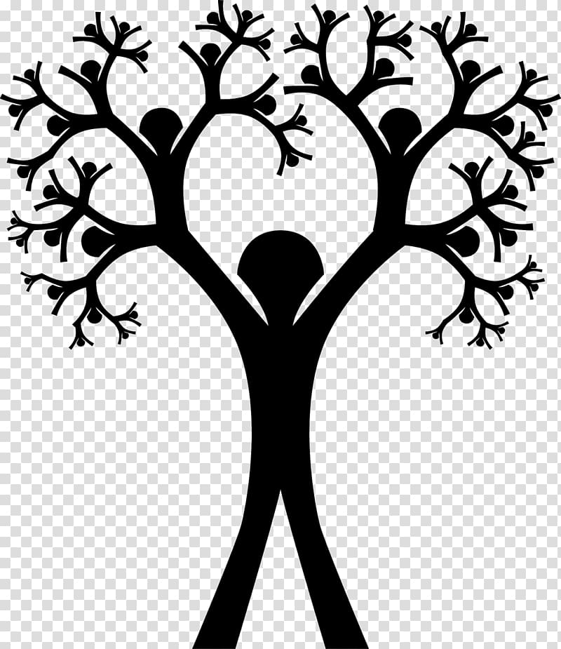 Family tree Genealogy Ancestor , soy transparent background PNG clipart