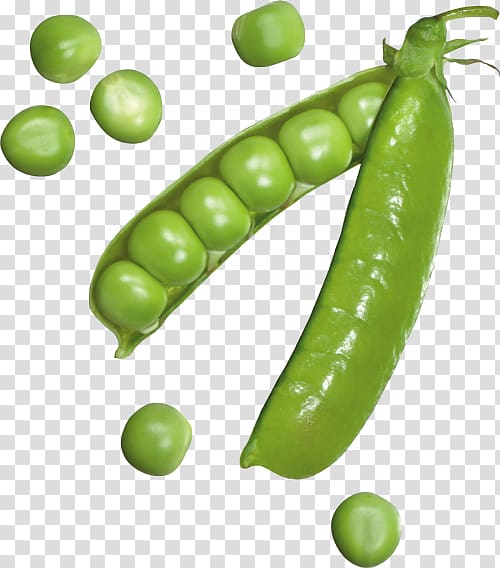 Pea Icon, pea transparent background PNG clipart