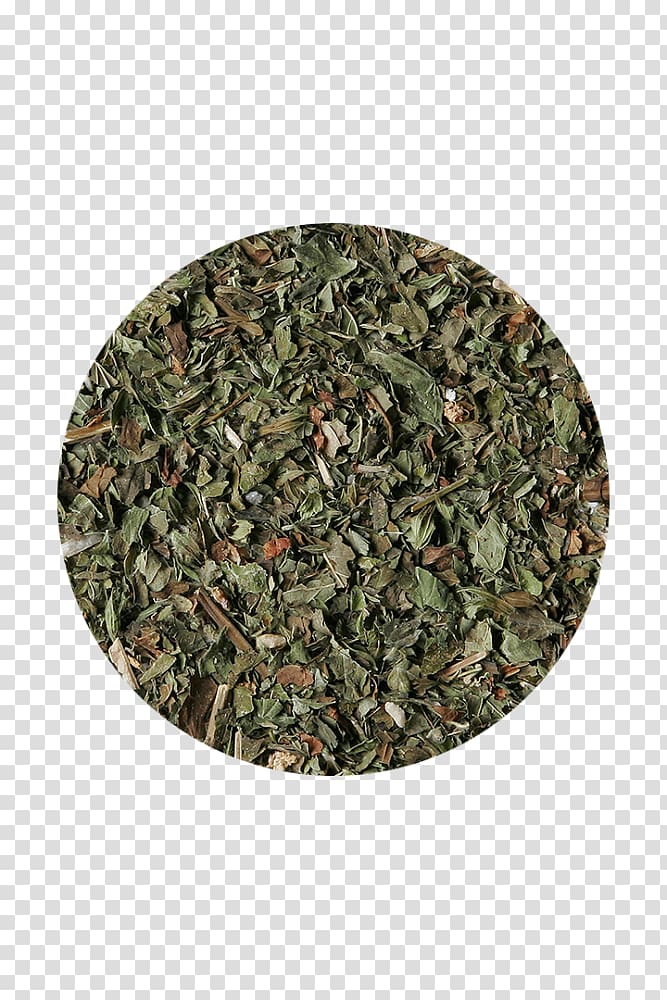 Herbal tea Sencha Rooibos Military camouflage, tea transparent background PNG clipart